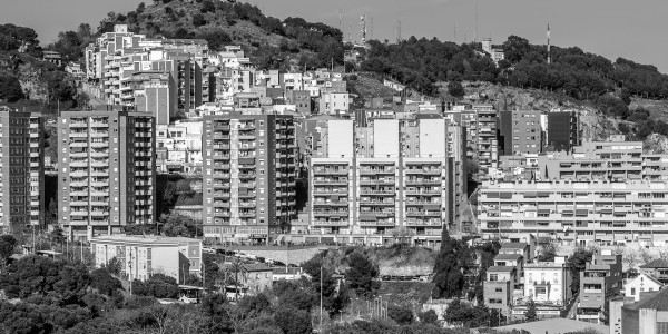 Redacción / Ejecución de Testamentos Cava · Derechos del Cónyuge Viudo en Herencias